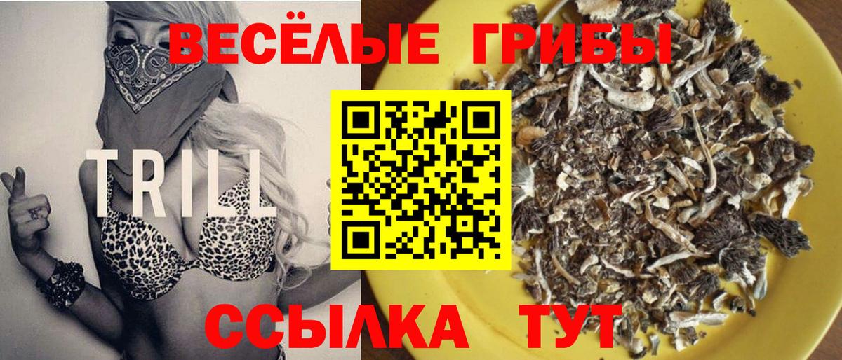 Воронеж  Псилоцибиновые грибы прущие грибы  Вход с VPN 