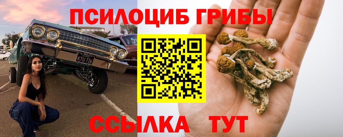 Галлюциногенные грибы мухоморы Воронеж